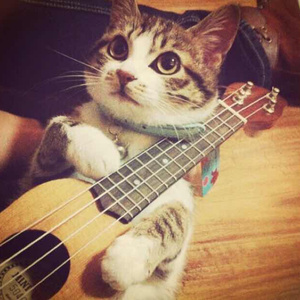 天天噜日日噜夜夜噜
