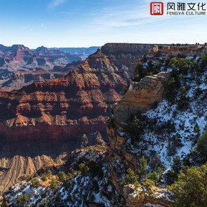 天天噜日日噜夜夜噜
